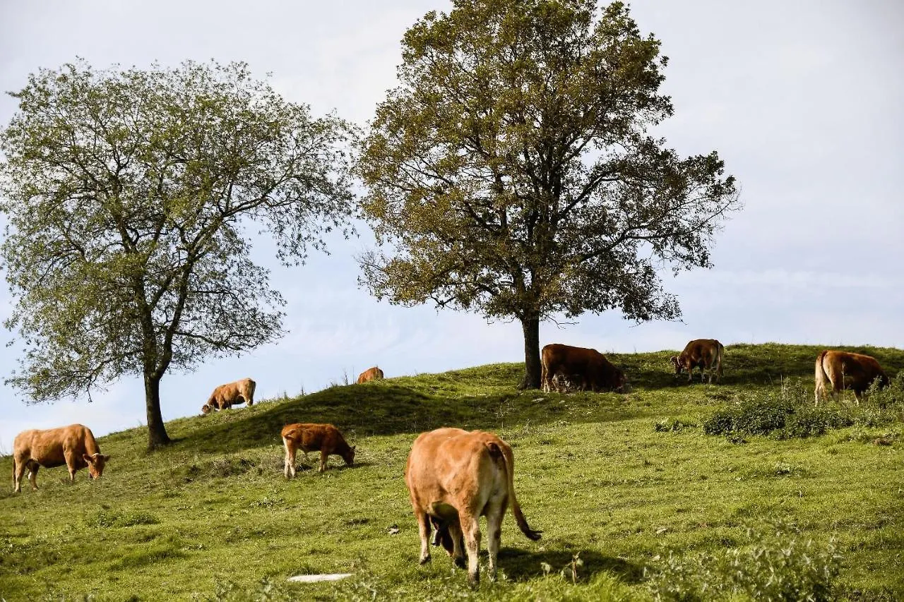 El Serradell Agroturisme Sant Joan de les Abadesses España